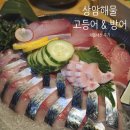 상암 방어회 맛집 예약 추천 &#39;상암해물&#39; 고등어회에 해물비빔밥까지 내돈내산 후기