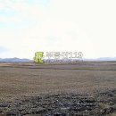용지농장 Daum카페