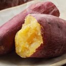 제이앤팜 이미지