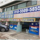 덴트칼라 이미지