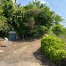 제주 모슬봉 일제군사시설 이미지