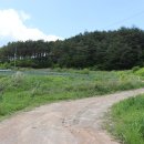 설피농장 이미지