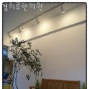 명일경희한의원 이미지