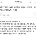 자기또래도 아니고 아기한테 열폭하는게 진짜 신기하더라 태하 같은 애기들 이미지