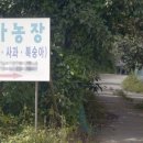 청마농원