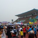 2014 군산 새만금 국제 마라톤 축제 이미지