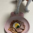 몽펫푸드 이미지