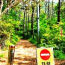 한아름 사슴 농장 이미지