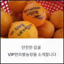 신효동-11 | GAP 인증과 안전 농약 교육, 가족 건강을 위한 감귤 재배의 기준입니다
