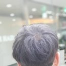 2H Hair