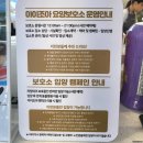 아이조아펫파크 대구점 이미지