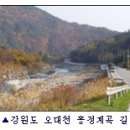 조양강 민박 이미지