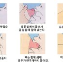 다울아이 이미지