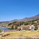꽃내음 연산점 | [경북 청도 맛집] 대구 근교 아이랑 가볼만한 곳 대형카페 소우모우
