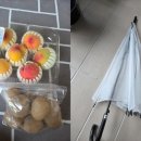 우산길 이미지