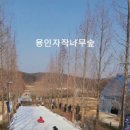 베툴라 자작나무숲 펜션 이미지