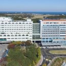 강릉아산병원 이미지