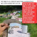 보성남초등학교 이미지