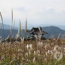 은빛축산 이미지