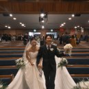 위시플래닝 | 💍Sarah's W.15_위시스프링 후기/본식 서브 스냅 추천 후기/본식스냅/빈티지스냅｜위시스프링 봄날의 필름컷