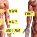 신세계스포렉스