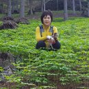 개명산삼원
