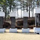 천마 태권스쿨 이미지