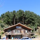 푸른 둥지 이미지