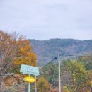 진산농협하나로마트 이미지