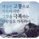 내리사랑태권도장 이미지