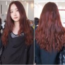 오렌지헤어닷컴 이미지