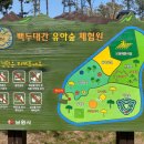 백두대간 유아숲체험원 이미지