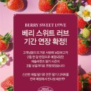 러브애슐리