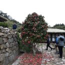 흑산 사촌서당 이미지