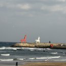 대유목장 | 제주 2박3일 일정 렌트카 기준 커플 기념일 여행 코스 실제 경비