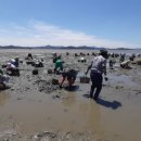 웅도민박 이미지