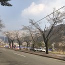 샘밭약국 이미지