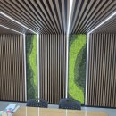 진성여자고등학교 | 광주전남 여수 진성여자고등학교 스칸디아모스 벽 시공 후기｜전남 모스월 인테리어 카페·사무실 추천
