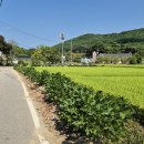 가곡보건진료소 이미지