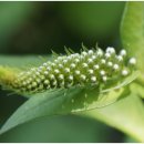 교현리마을회관 이미지