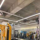 뉴바디짐 이미지