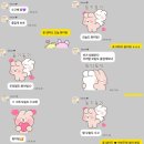보갱생교육