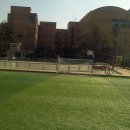 양진초등학교 이미지