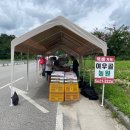 순흥농원 | [영주 맛집/ 여우골농원] 맛있는 순흥 여우골 복숭아 구매 후기:)