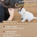 보니또따 이미지