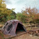 꿈엔들 캠프장 이미지