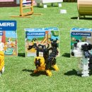 펫 프렌즈 이미지