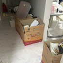 거제중앙로1길 | 26.03-1 주간일기