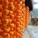 산골의하루 이미지