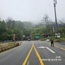 치악산둘레길 7코스 싸리지옛길 | [공지] 치악산둘레길 7코스 싸리치옛길